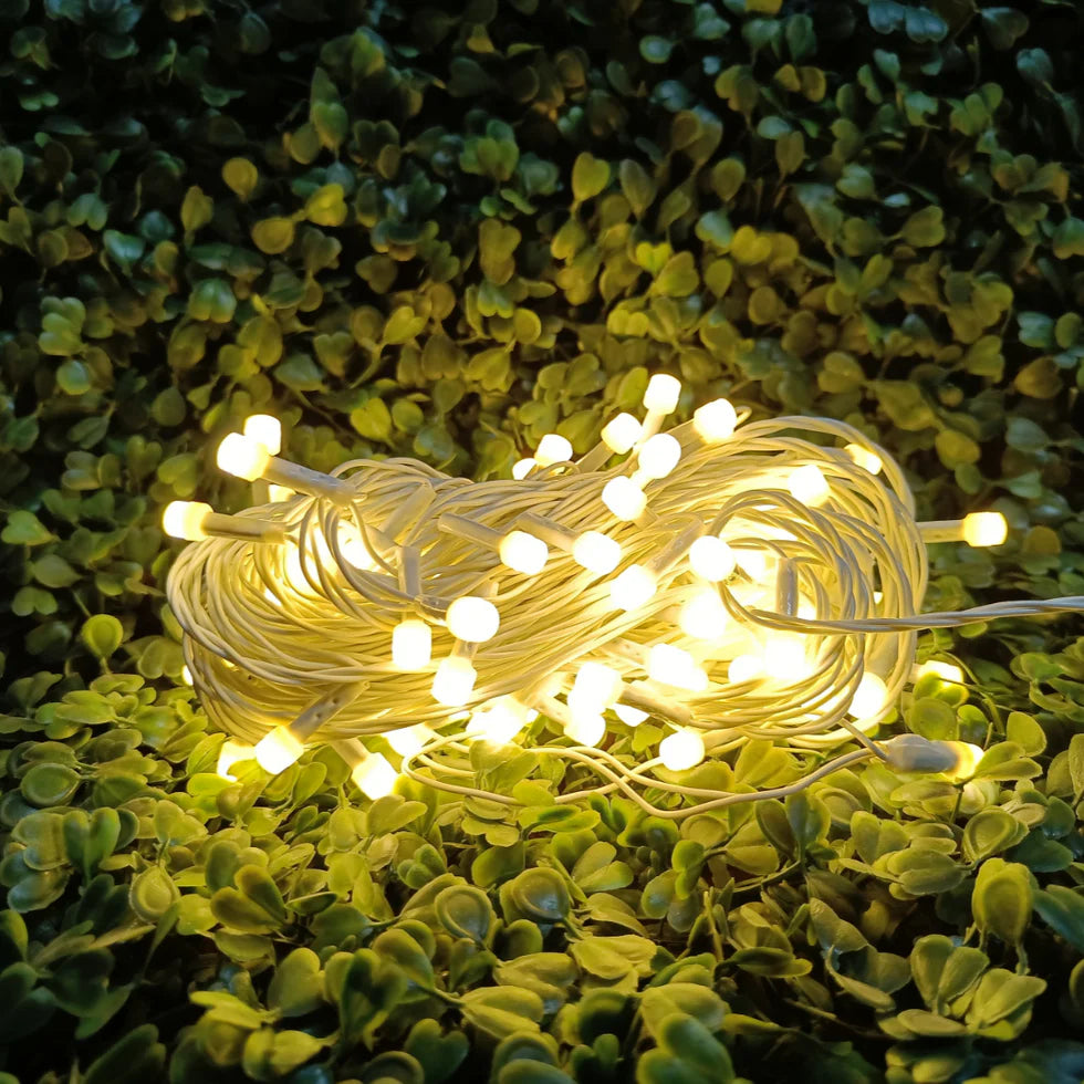 White Wire LED Series String Lights | 8mm Warm White LED