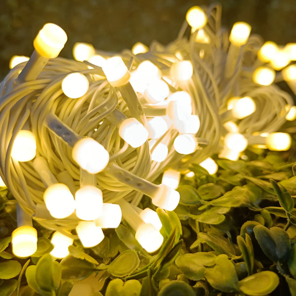 White Wire LED Series String Lights | 8mm Warm White LED