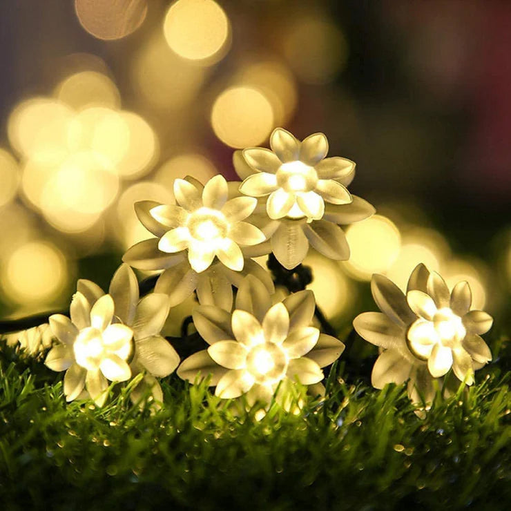 LED Daisy Flower Decorative String Light - Warm White