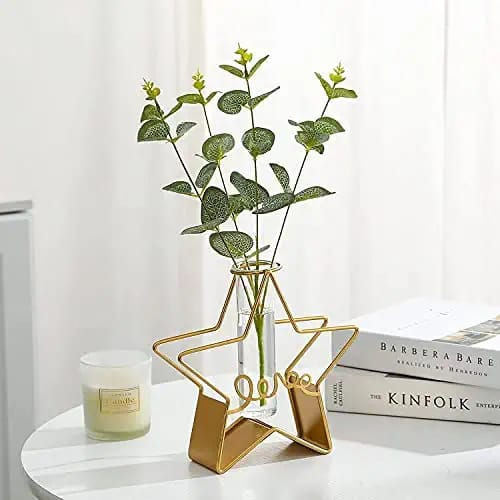 Pentagonal Hydroponic Glass Tube Metal Vase