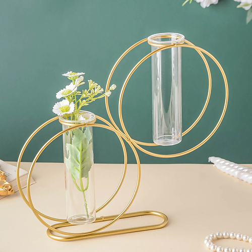 Double Round Metal Wire Glass Tube Vase