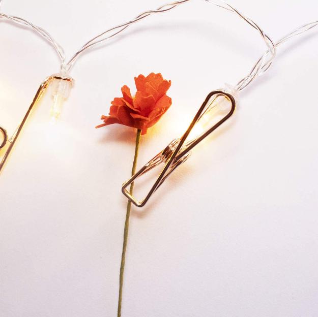 Rose Gold Photo Clips Lights - Warm White LED