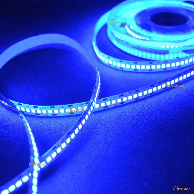 LED Strip Lights - 12V - 2835 SMD LED 240 LEDs Per Meter - Blue 5m