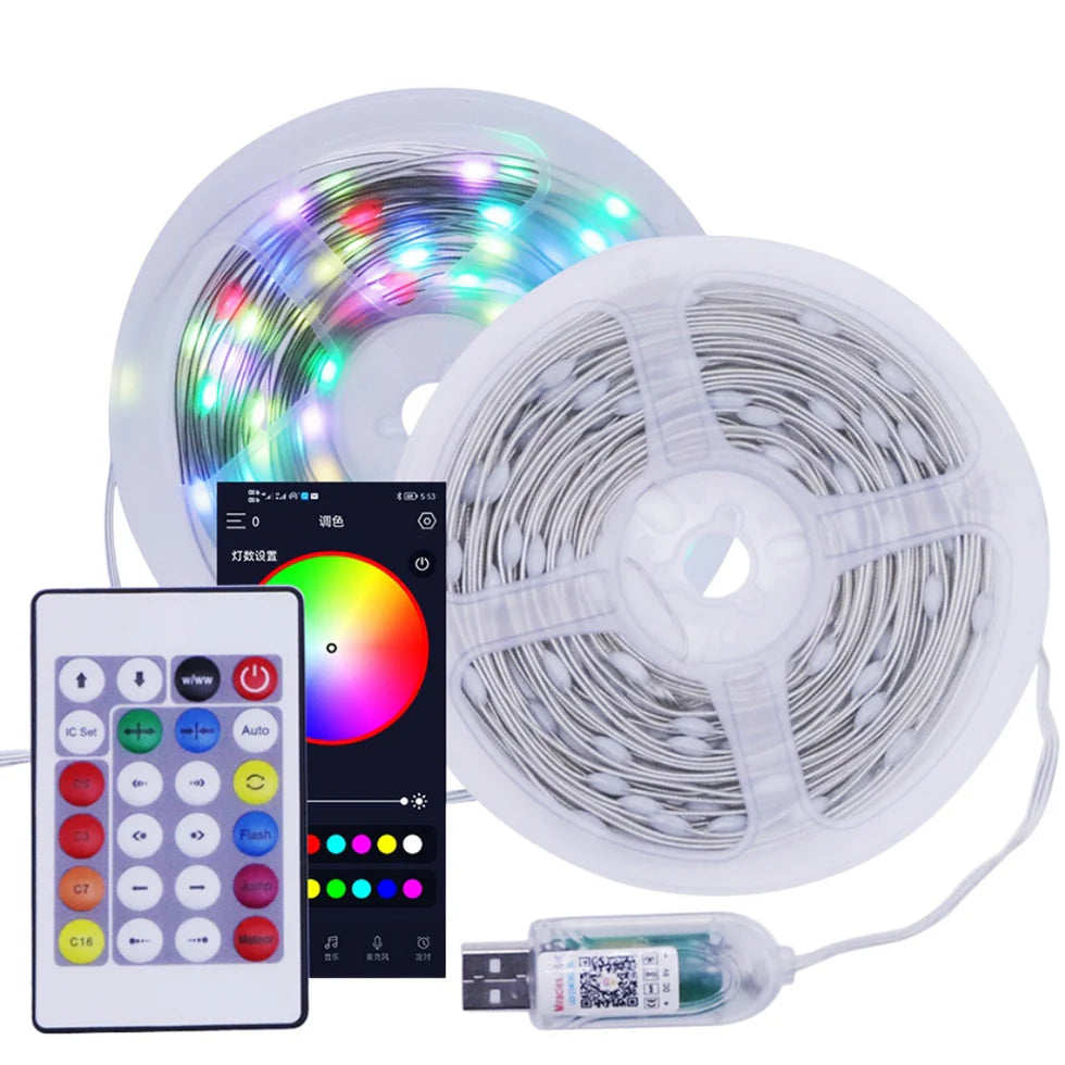 Dream Fairy Lights - Smart Pixel RGBIC LED 33ft 10m USB Powered | Remote Controller & Smart App