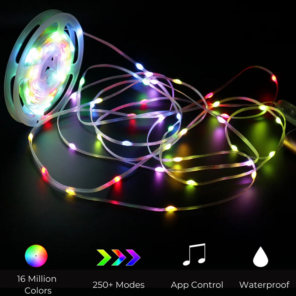 Dream Fairy Lights - Smart Pixel RGBIC LED 33ft 10m USB Powered | Remote Controller & Smart App