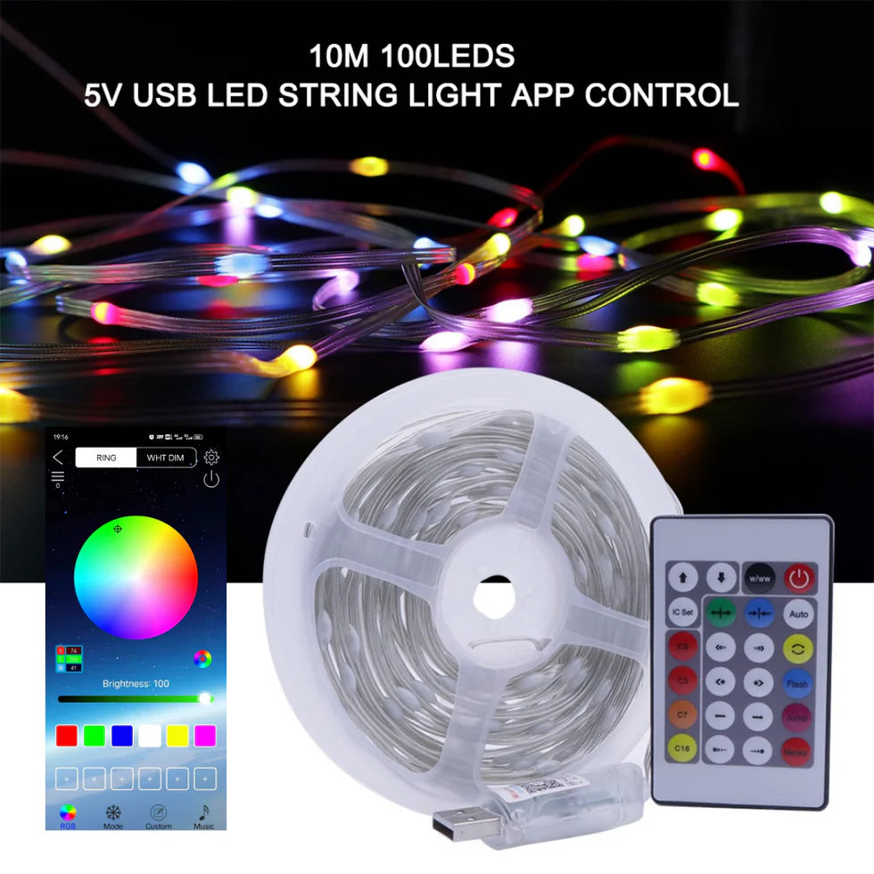 Dream Fairy Lights - Smart Pixel RGBIC LED 33ft 10m USB Powered | Remote Controller & Smart App